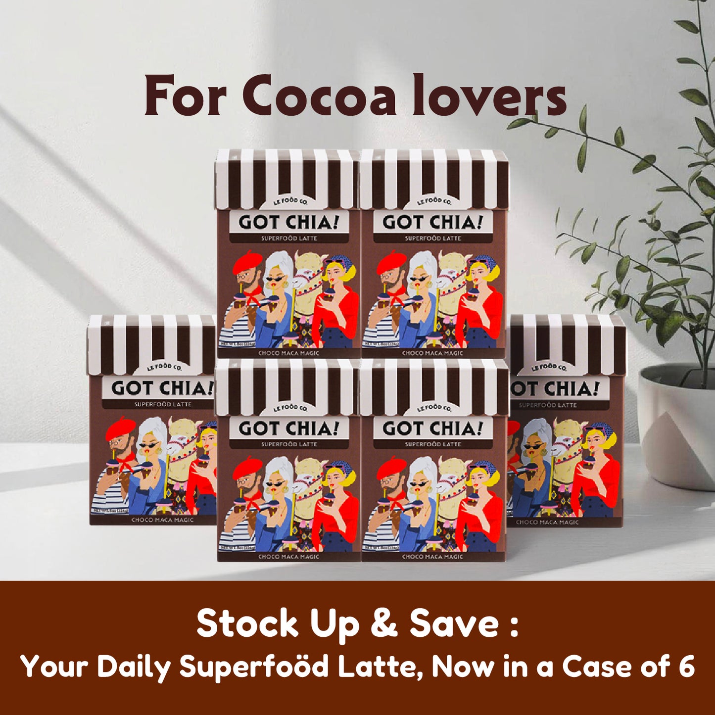 Choco Maca Magic - 8-Pack Boxes (Case of 6)
