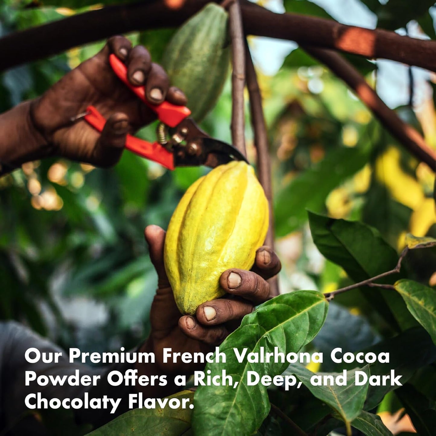 Choco Maca Magic